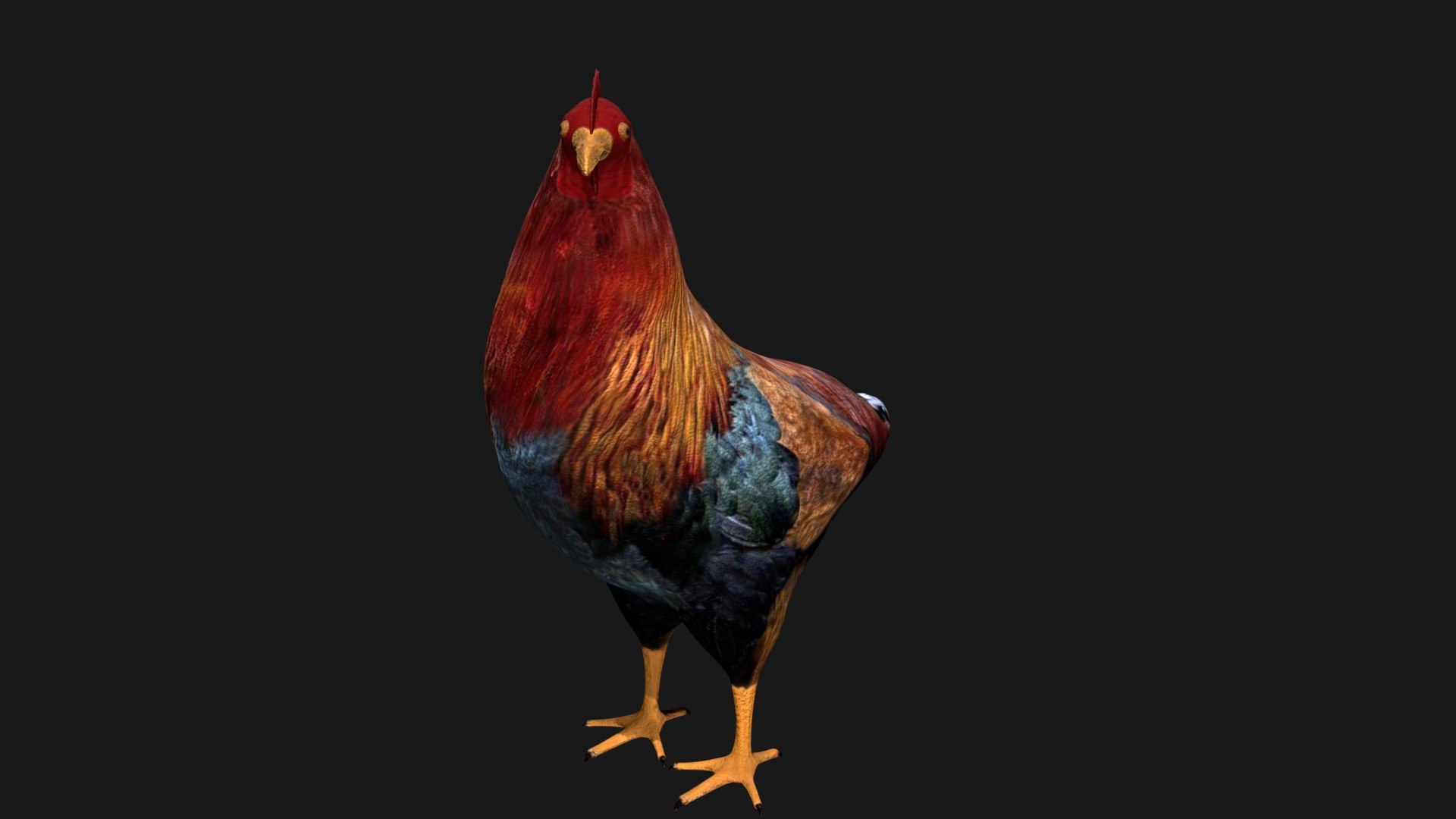 Chicken Rigged 3D Model - TurboSquid 1664704