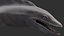 Lochness Monster