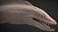 Lochness Monster
