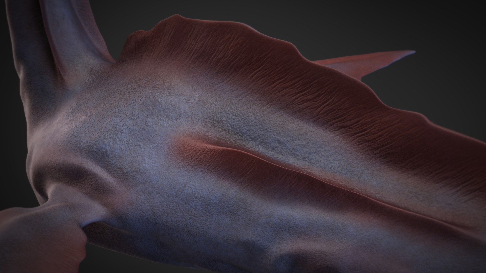 Lochness Monster 3D model https://p.turbosquid.com/ts-thumb/fk/LgGNCj/aK/shot11/jpg/1620240058/1920x1080/fit_q87/8a583707863f8fdf7aaf478788517192e2e88420/shot11.jpg