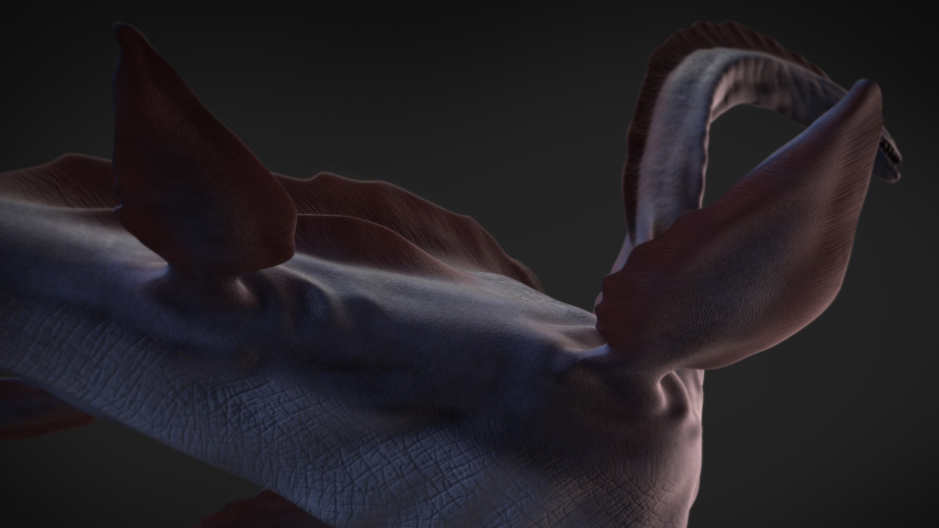 Lochness Monster 3D model https://p.turbosquid.com/ts-thumb/fk/LgGNCj/ml/shot07/jpg/1620240030/1920x1080/fit_q87/cd1d2c5299240d94a30af8099f4dc04d18a410c0/shot07.jpg
