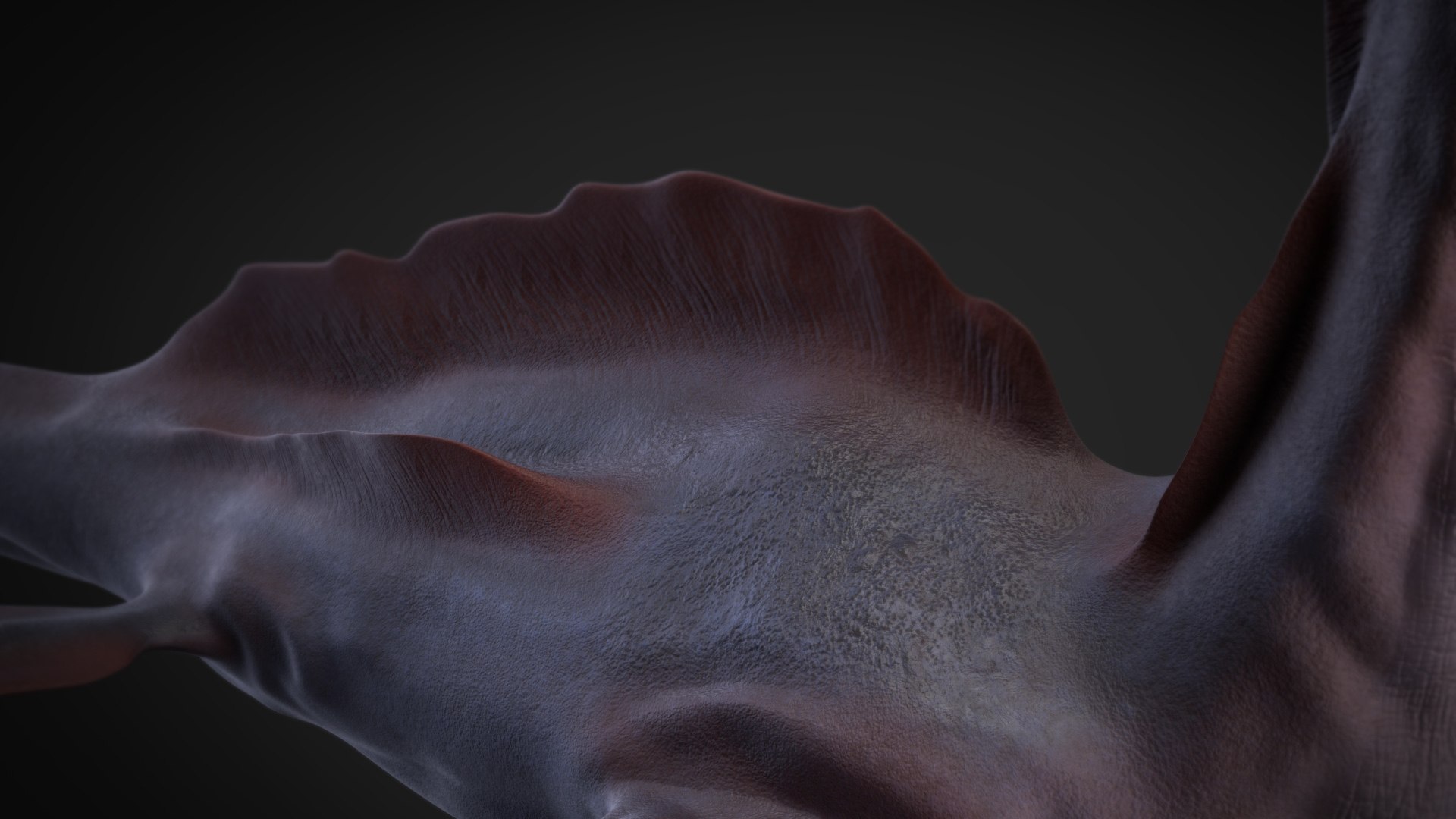Lochness Monster 3D model https://p.turbosquid.com/ts-thumb/fk/LgGNCj/n3/shot08/jpg/1620240057/1920x1080/fit_q87/2f6846e84444d2427a4f8e0e7e154db480a064cb/shot08.jpg