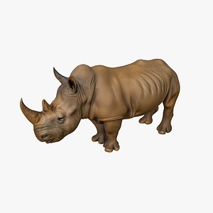 3D Rhino model