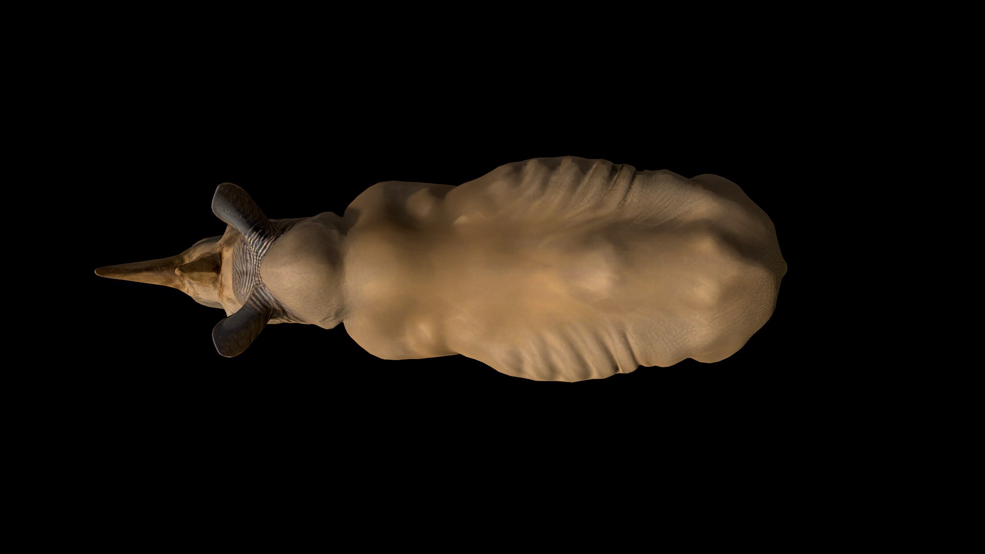 3D Rhino model https://p.turbosquid.com/ts-thumb/fk/SNUVCy/aq/rhino_003/png/1759091941/1920x1080/fit_q87/57cba514fb505cd7040d6c936a37bbc9d76b193e/rhino_003.jpg
