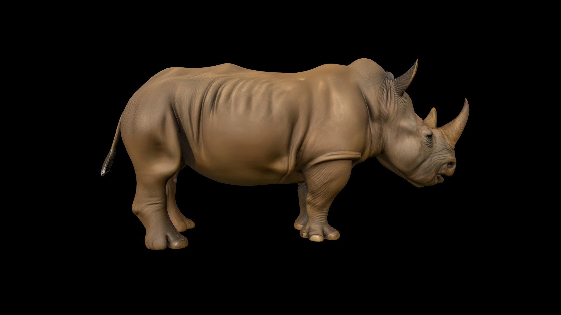 3D Rhino model https://p.turbosquid.com/ts-thumb/fk/SNUVCy/gg/rhino_002/png/1759091940/1920x1080/fit_q87/946aeb264134b753694df8652166ac9aca612f1f/rhino_002.jpg