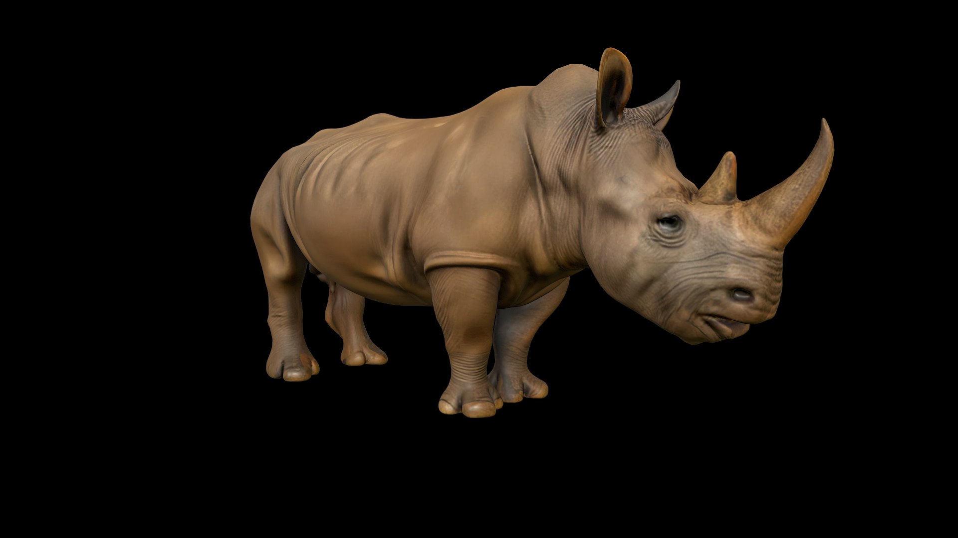 3D Rhino model https://p.turbosquid.com/ts-thumb/fk/SNUVCy/wo/rhino_004/png/1759091941/1920x1080/fit_q87/1b645a40e622bce67ed8e766f5614f8514c6290e/rhino_004.jpg