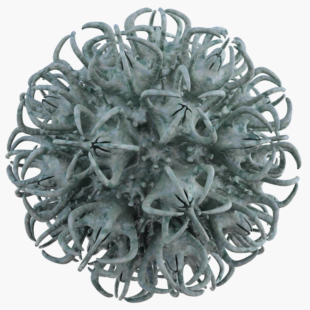 3d Model Micro Object Mht