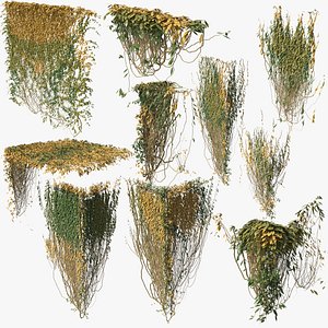 3D ivy 01