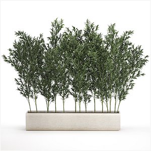 3D Bamboo thickets for landscaping and outdoors in a flowerpot model