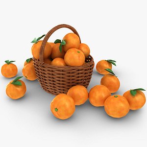 3D realistic grapefruit basket model