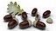 Acorns
