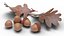 Acorns