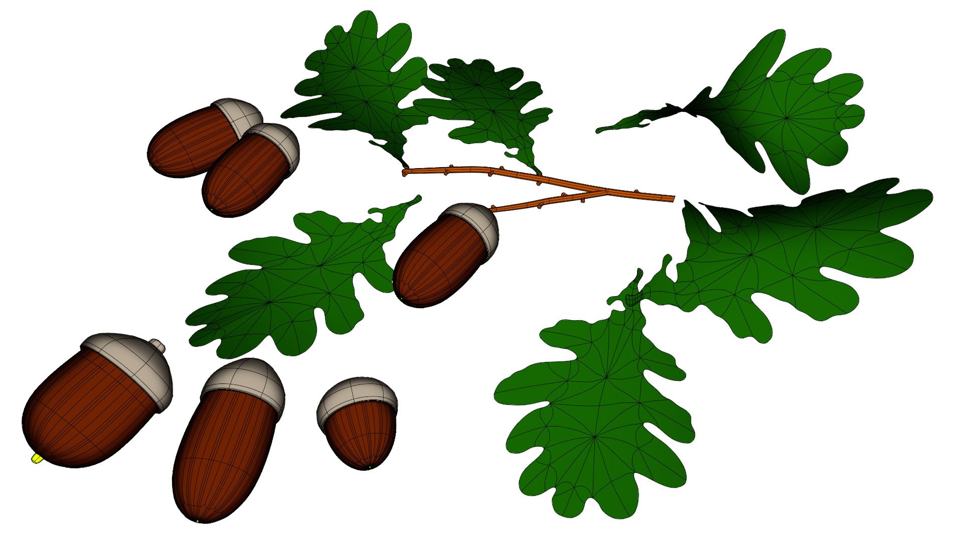 acorns leaf 3D https://p.turbosquid.com/ts-thumb/fk/nVfmCr/UAMbWv4p/0011/jpg/1603915853/1920x1080/fit_q87/66d2b42ad526437d6403922121992dcbb7693207/0011.jpg