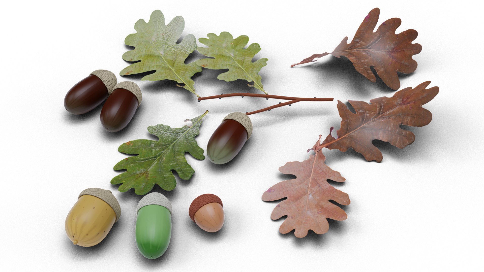 acorns leaf 3D https://p.turbosquid.com/ts-thumb/fk/nVfmCr/XqvDlKeA/0001/jpg/1603915836/1920x1080/fit_q87/2bfa432e5592af0d4428ec9aec332adbcfc914eb/0001.jpg