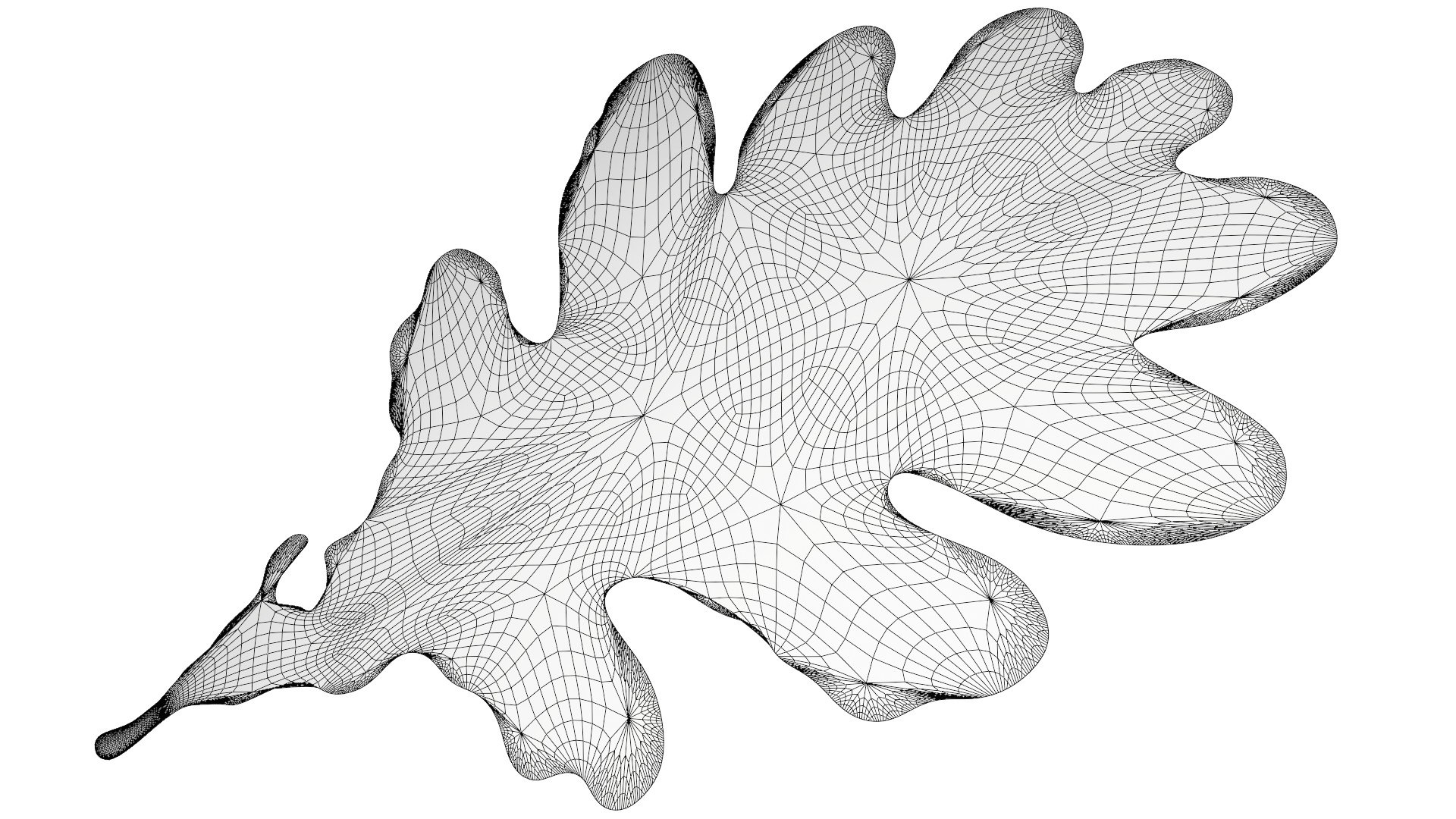 acorns leaf 3D https://p.turbosquid.com/ts-thumb/fk/nVfmCr/fGtZqCTh/0012/jpg/1603915866/1920x1080/fit_q87/4c52c7203d81622002dfe34c1818dd088783f47f/0012.jpg