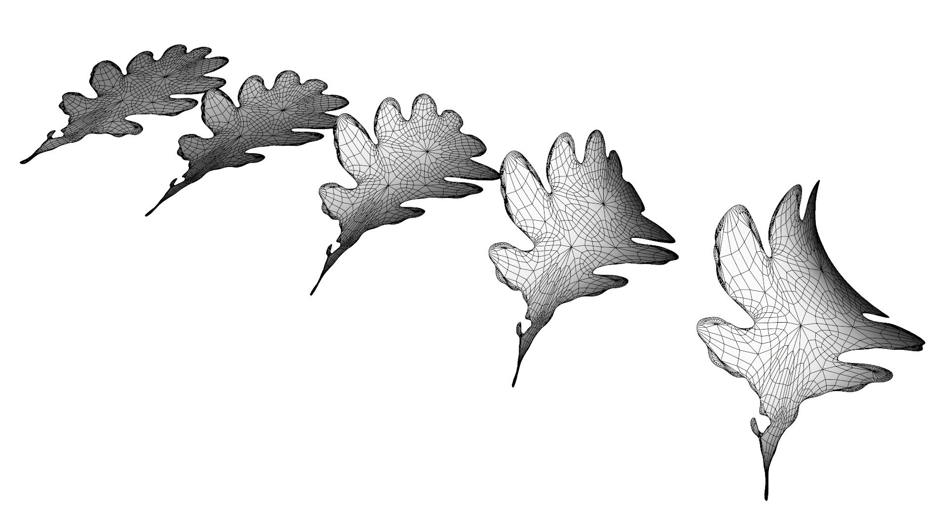 acorns leaf 3D https://p.turbosquid.com/ts-thumb/fk/nVfmCr/fkOpwcLv/0016/jpg/1603915873/1920x1080/fit_q87/24feb3772287f38715ecce029c232a033db68457/0016.jpg