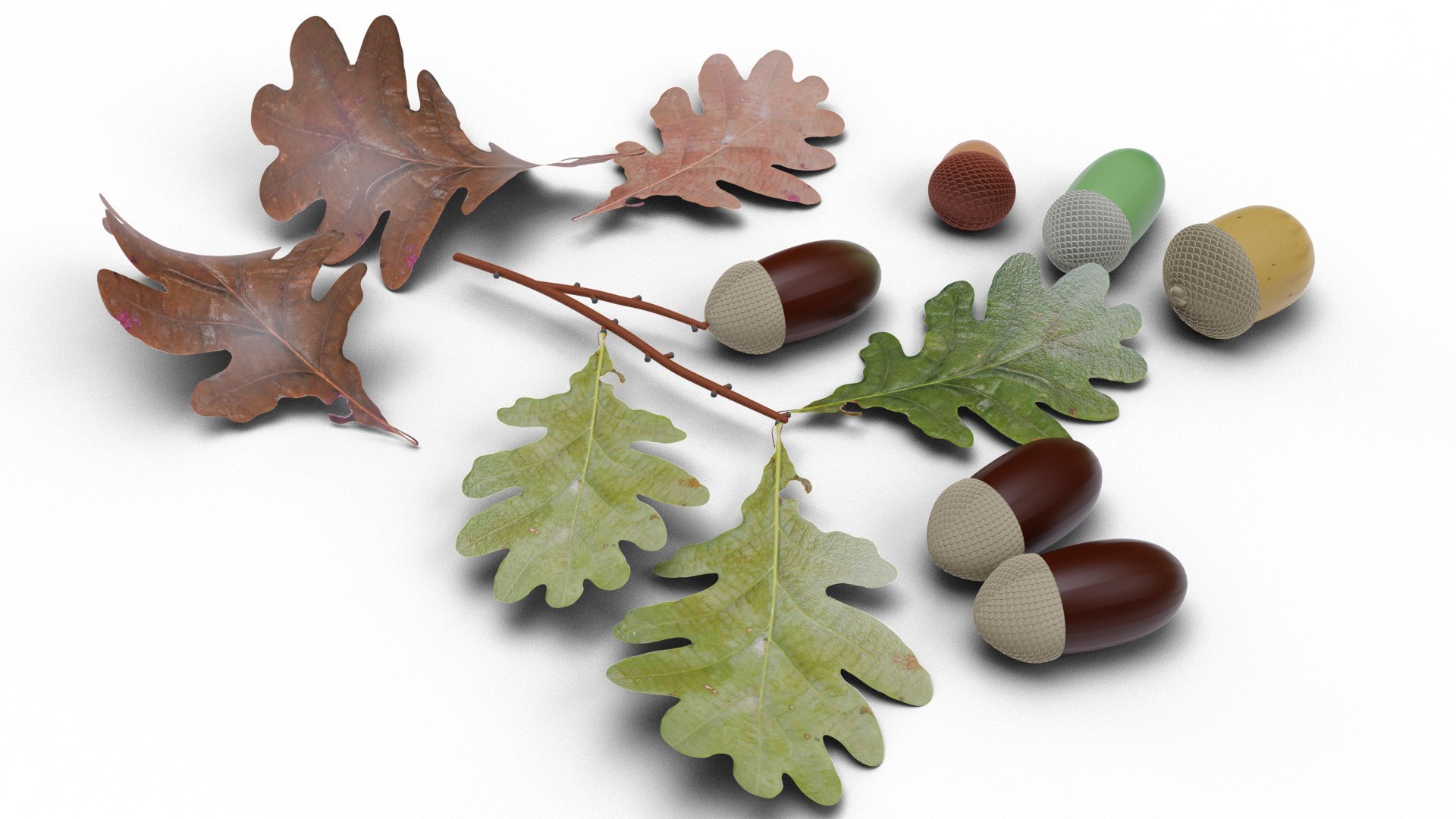 acorns leaf 3D https://p.turbosquid.com/ts-thumb/fk/nVfmCr/ikUuzjn7/0002/jpg/1603915833/1920x1080/fit_q87/fd41c61d8071fbbd857a821645a73362c23b9d5b/0002.jpg