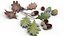 Acorns
