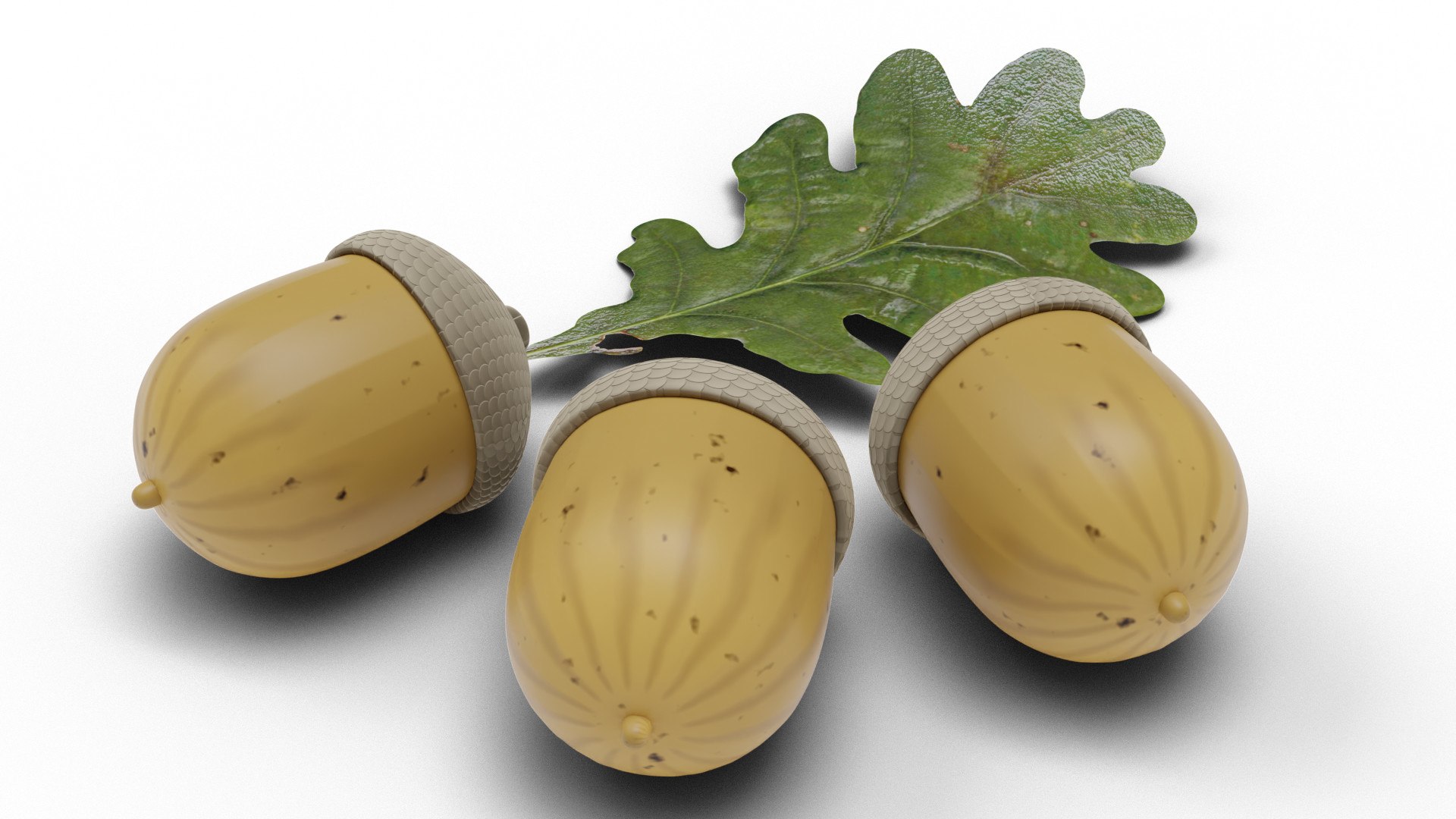 acorns leaf 3D https://p.turbosquid.com/ts-thumb/fk/nVfmCr/o8Newrv8/0004/jpg/1603915836/1920x1080/fit_q87/104e89a92c8086312a4b16d8dea9b5048079a800/0004.jpg