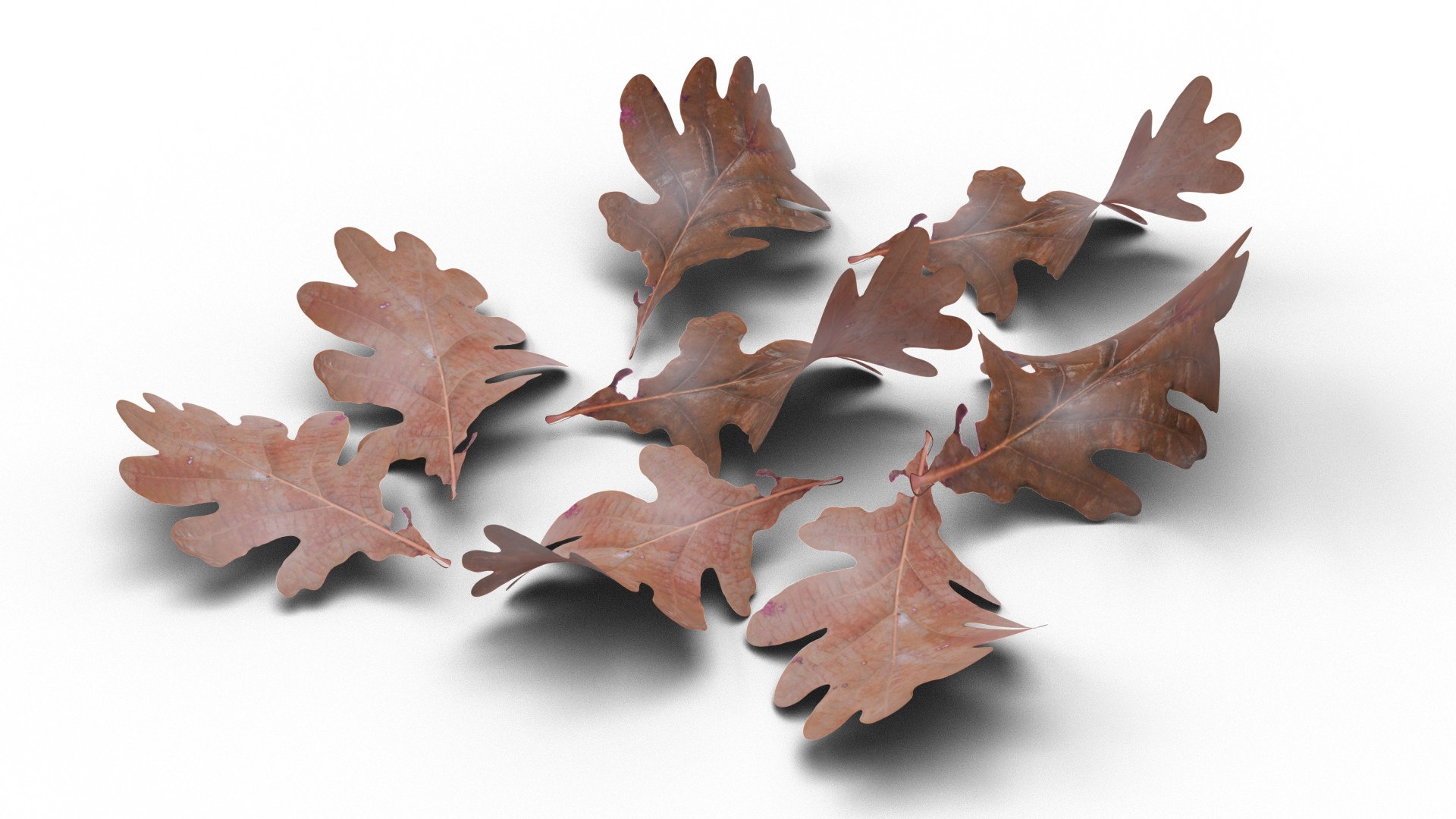 acorns leaf 3D https://p.turbosquid.com/ts-thumb/fk/nVfmCr/ocqkZ02j/0007/jpg/1603915844/1920x1080/fit_q87/fb417ba962e683ac676d67edfe8800e342d3898e/0007.jpg