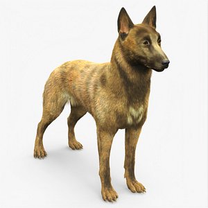 Shepherd Dog Standing Gold Brindle Fur 3D