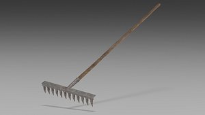 Old Rake 3D model