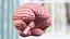 Modelo de cerebro humano de plástico para impresión 3D