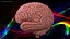 Modelo de cerebro humano de plástico para impresión 3D