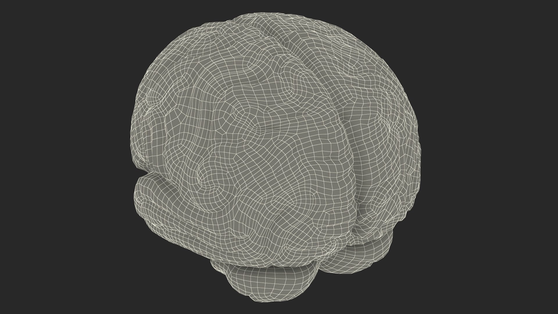 Human Brain Plastic Model for 3D Print 3D model https://p.turbosquid.com/ts-thumb/fl/5gCAe1/OB/humanbrainplasticmodelfor3dprint3dsmodel019/jpg/1727241410/1920x1080/fit_q87/611f889b4b5f08d31fd89d12ae9fb64633f65873/humanbrainplasticmodelfor3dprint3dsmodel019.jpg
