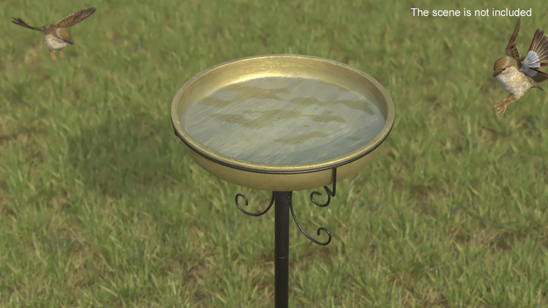 Birdbath 3D model https://p.turbosquid.com/ts-thumb/fl/7yWbdA/1B/birdbath_004/jpg/1733876707/1920x1080/fit_q87/216b99960e67d0e3443b8807b39bd340d7ac209d/birdbath_004.jpg