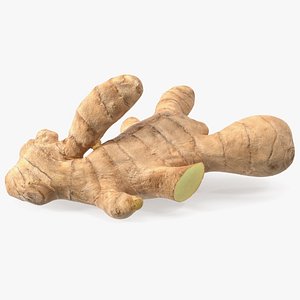 3D Ginger Without Part