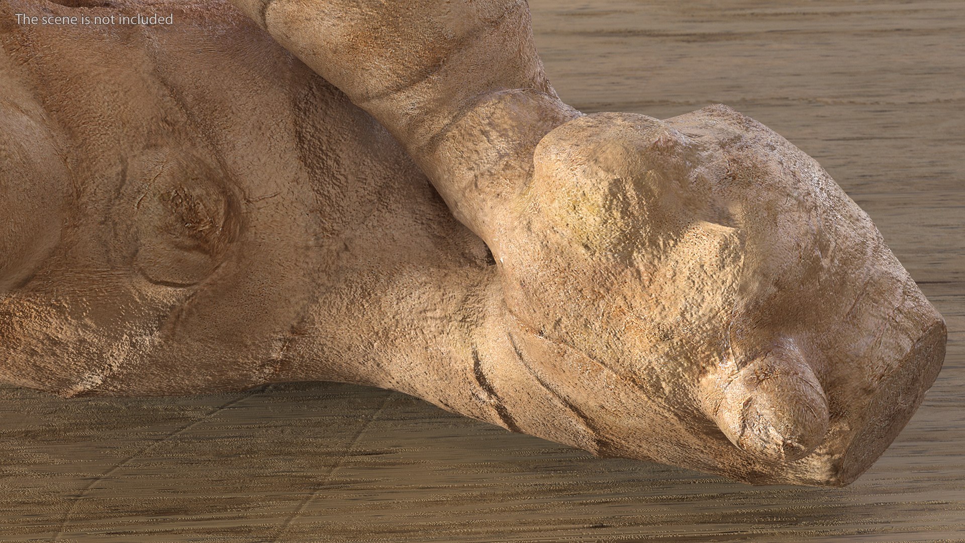 3D Ginger Without Part https://p.turbosquid.com/ts-thumb/fl/9rn3yT/4H/gingerwithoutpartc4dmodel005/jpg/1651218393/1920x1080/fit_q87/c073bc17ebbaf30bbb1bda7ed545040aa963bac0/gingerwithoutpartc4dmodel005.jpg