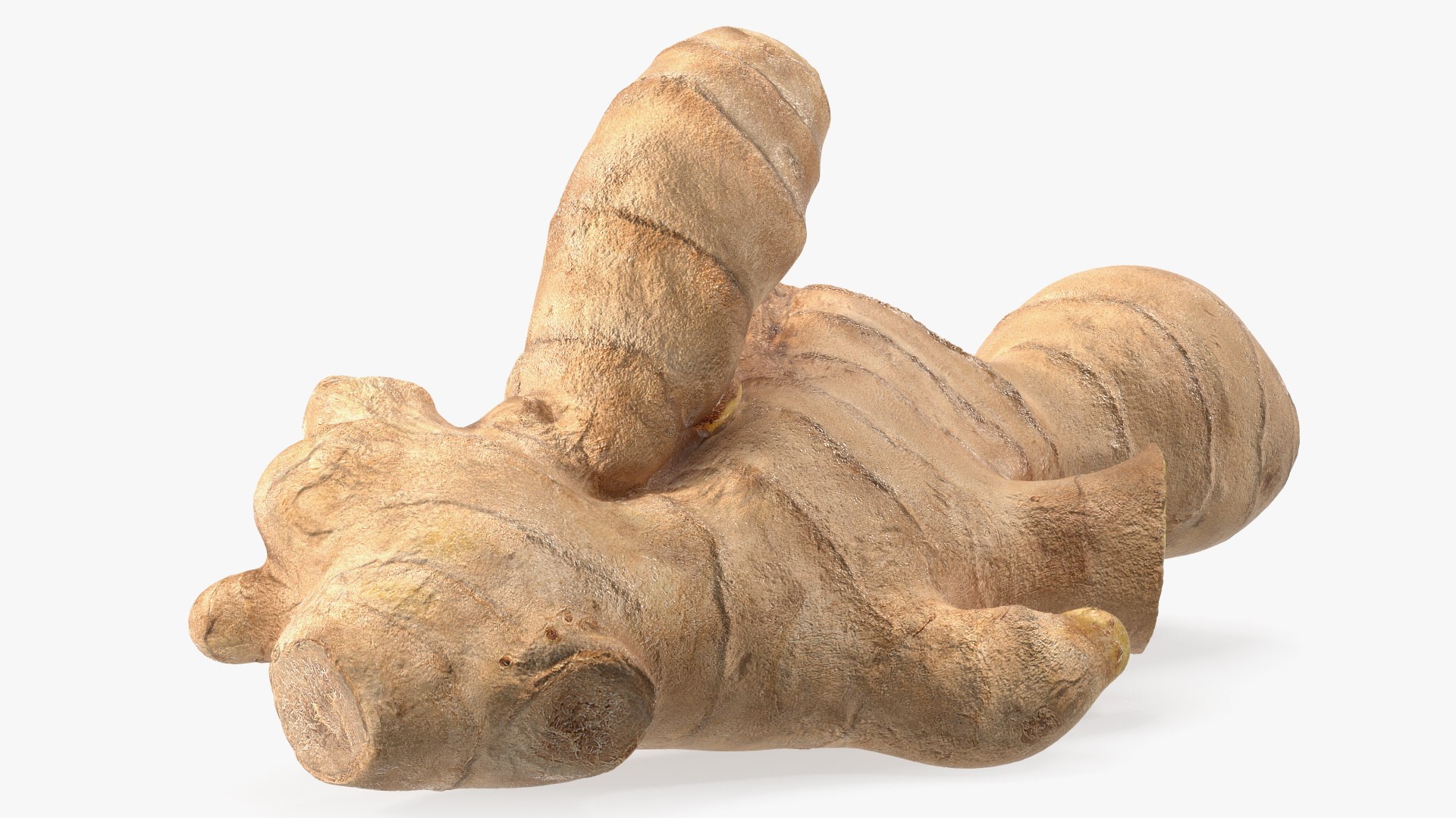 3D Ginger Without Part https://p.turbosquid.com/ts-thumb/fl/9rn3yT/Pa/gingerwithoutpartc4dmodel007/jpg/1651218420/1920x1080/fit_q87/9164c170e226a891c5b1ddc47324f137dc8df609/gingerwithoutpartc4dmodel007.jpg