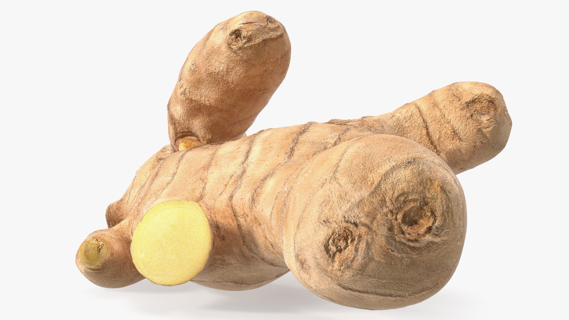 3D Ginger Without Part https://p.turbosquid.com/ts-thumb/fl/9rn3yT/Vo/gingerwithoutpartc4dmodel011/jpg/1651218432/1920x1080/fit_q87/98d76c4947e2ccde58190a32d6d959cba688ddba/gingerwithoutpartc4dmodel011.jpg