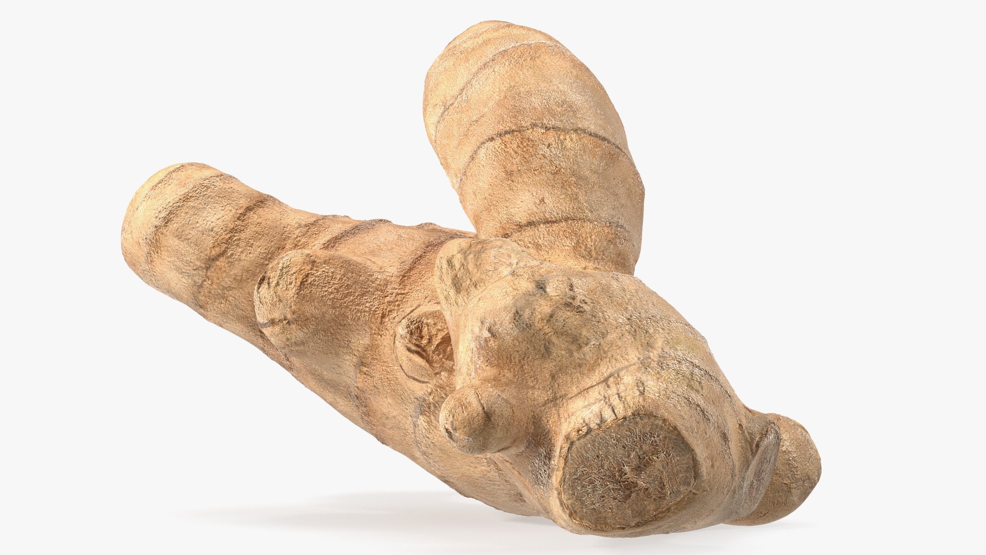 3D Ginger Without Part https://p.turbosquid.com/ts-thumb/fl/9rn3yT/nI/gingerwithoutpartc4dmodel008/jpg/1651218423/1920x1080/fit_q87/6cea7221baaf86b91769dae9c22096cbcf1cd325/gingerwithoutpartc4dmodel008.jpg