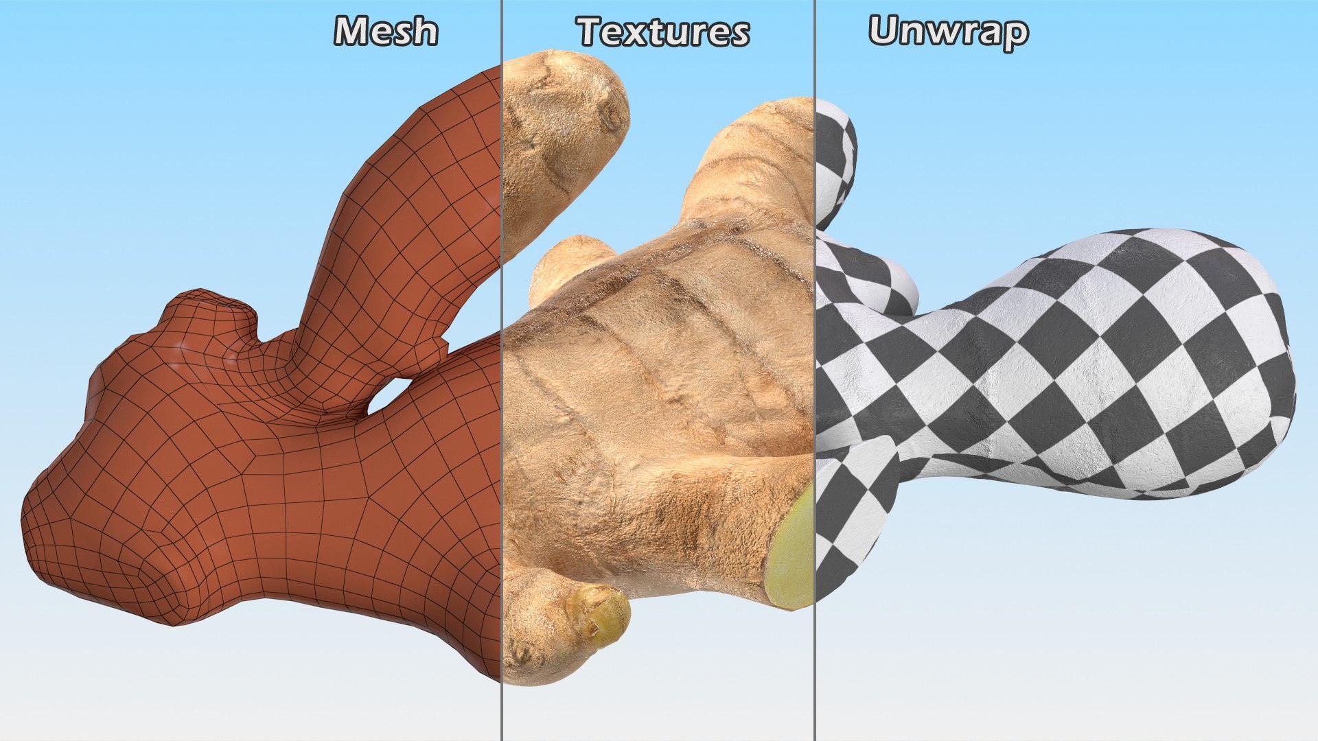 3D Ginger Without Part https://p.turbosquid.com/ts-thumb/fl/9rn3yT/uX/gingerwithoutpartc4dmodel016/jpg/1651218449/1920x1080/fit_q87/a036cf942b0acdc07f37f296cfb2acc2614e5c0e/gingerwithoutpartc4dmodel016.jpg