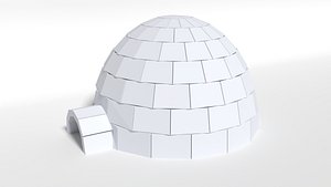 igloo cartoon 3D