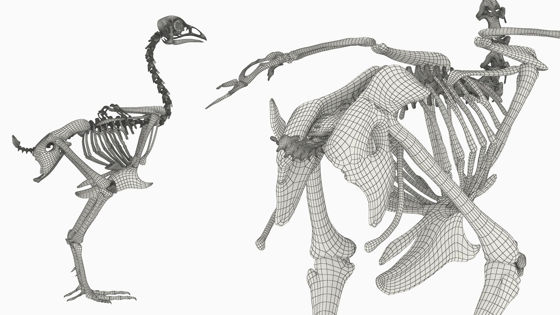 Animal Skeletons Collection 5 3D model https://p.turbosquid.com/ts-thumb/fl/CgyU5H/oB/animal_skeletons_collection_5_010/jpg/1777465198/1920x1080/fit_q87/d08264a823f67c8eeb95a6bfa5b4f27f90724181/animal_skeletons_collection_5_010.jpg