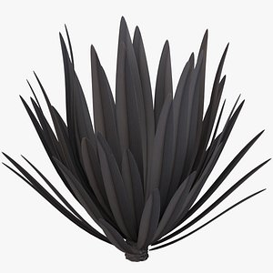 3D flax platt black model