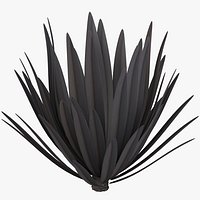 Flax Platts Black C