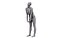 Очищенный 3D-скан Adelle Sabelle Casual Standing