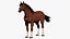 Horse Animated 3D