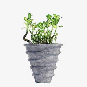Potted Plant (RS-15-1)