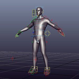 Zbrush Man Rig