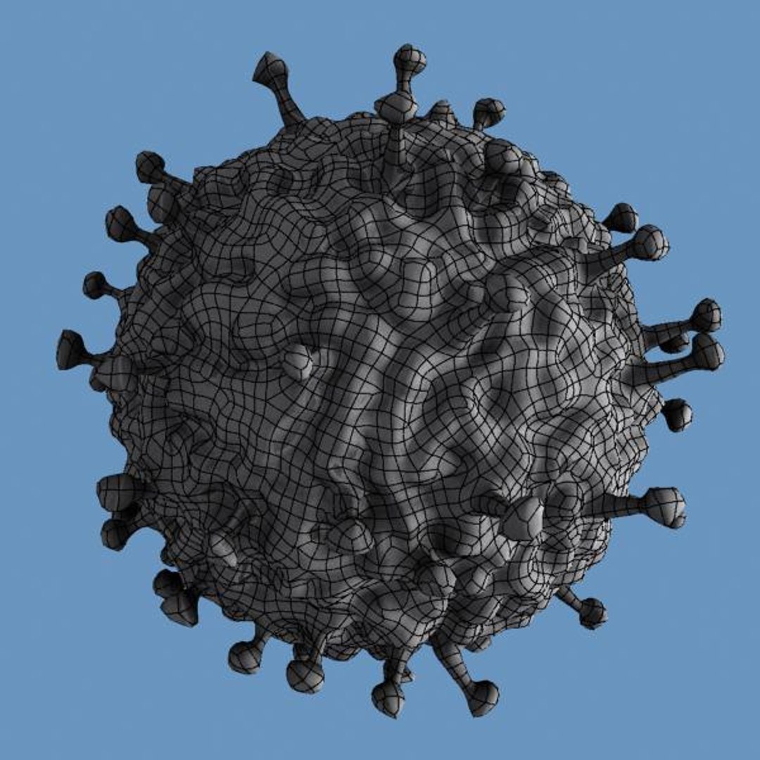 3d pneumovirus model