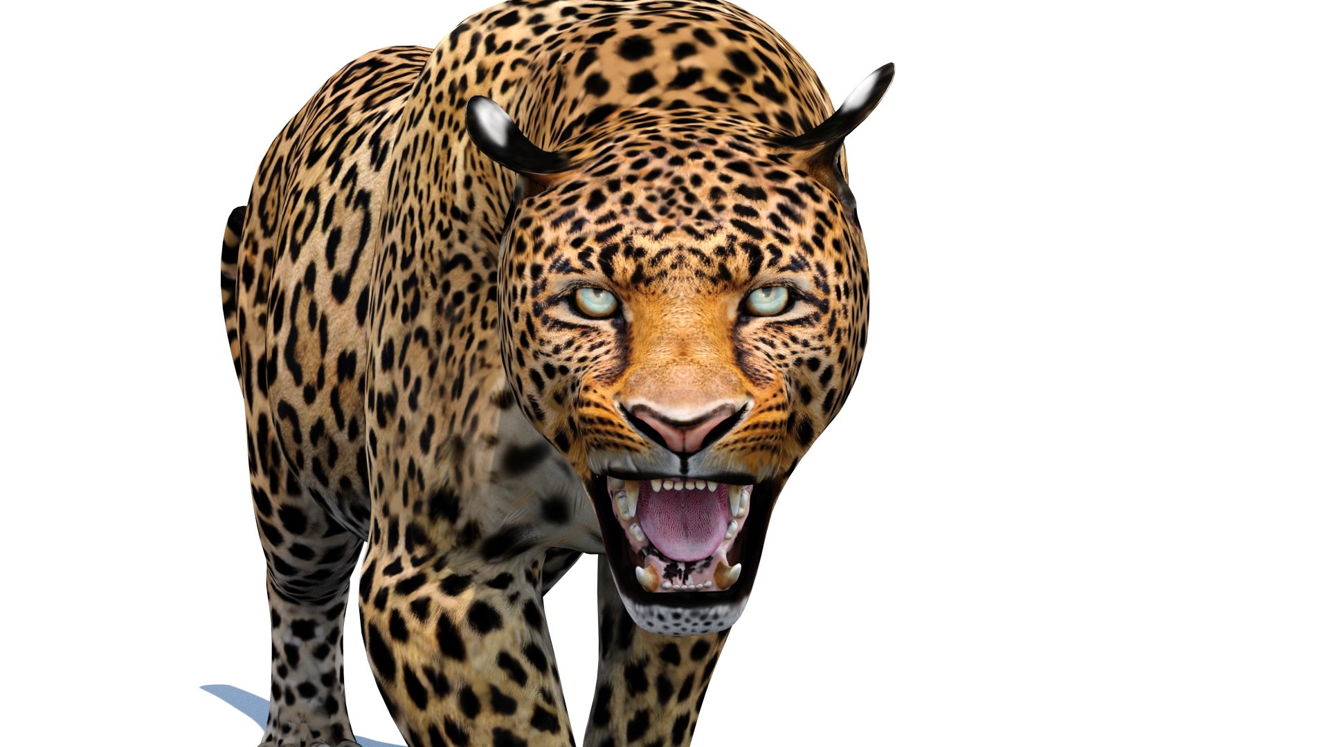 3d leopard cat animation model https://p.turbosquid.com/ts-thumb/fl/fryyDw/Kb/leopard3dmodelanimated13/jpg/1690276773/1920x1080/fit_q87/3eadd62b5040258f6db690594113d9ca276a3e1a/leopard3dmodelanimated13.jpg