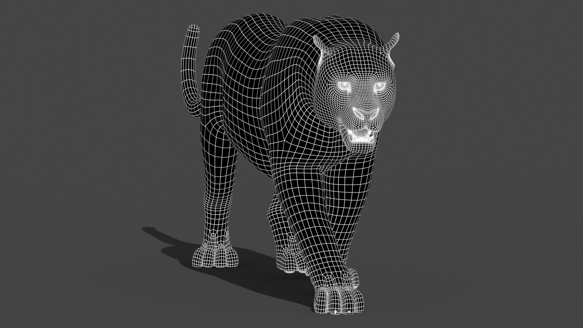 3d leopard cat animation model https://p.turbosquid.com/ts-thumb/fl/fryyDw/Ru/leopard3dmodelanimatedwireframe02/jpg/1690276777/1920x1080/fit_q87/d6ddb8f8c24275e740a766c709a9d2c4f51f90b9/leopard3dmodelanimatedwireframe02.jpg