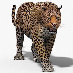 Leopard Animated v1