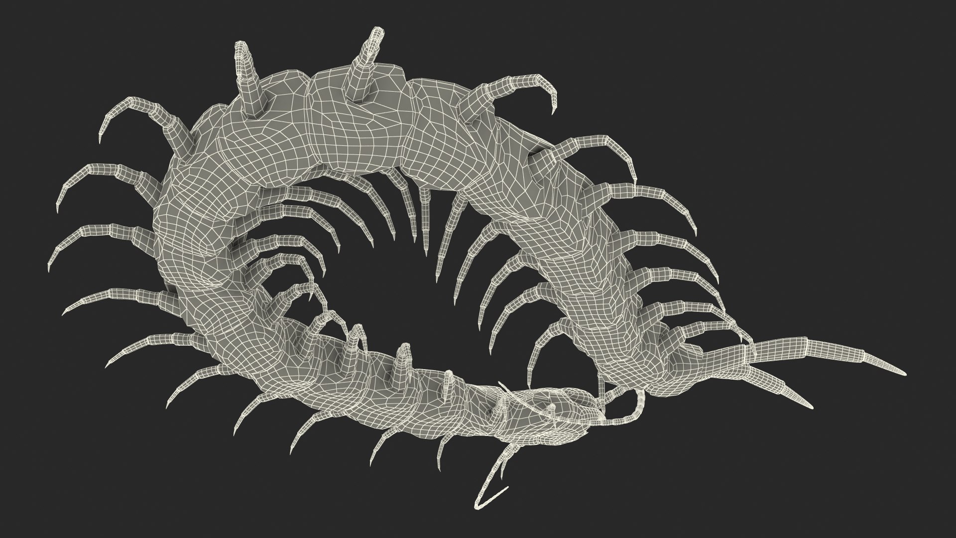 3D giant desert centipede scolopendra - TurboSquid 1546184