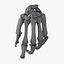 3d human bone hand